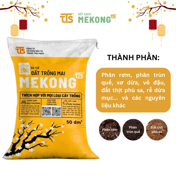 Đất trồng mai