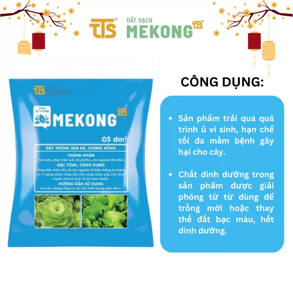 Đất Trồng Sen Đá, Xương Rồng Mekong Thoát Nước Tốt Thích Hợp Cho Cây Mọng Nước 05DM3 - Tratrasa - Ảnh 3
