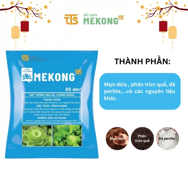Đất Trồng Sen Đá, Xương Rồng Mekong Thoát Nước Tốt Thích Hợp Cho Cây Mọng Nước 05DM3 - Tratrasa - Ảnh 2