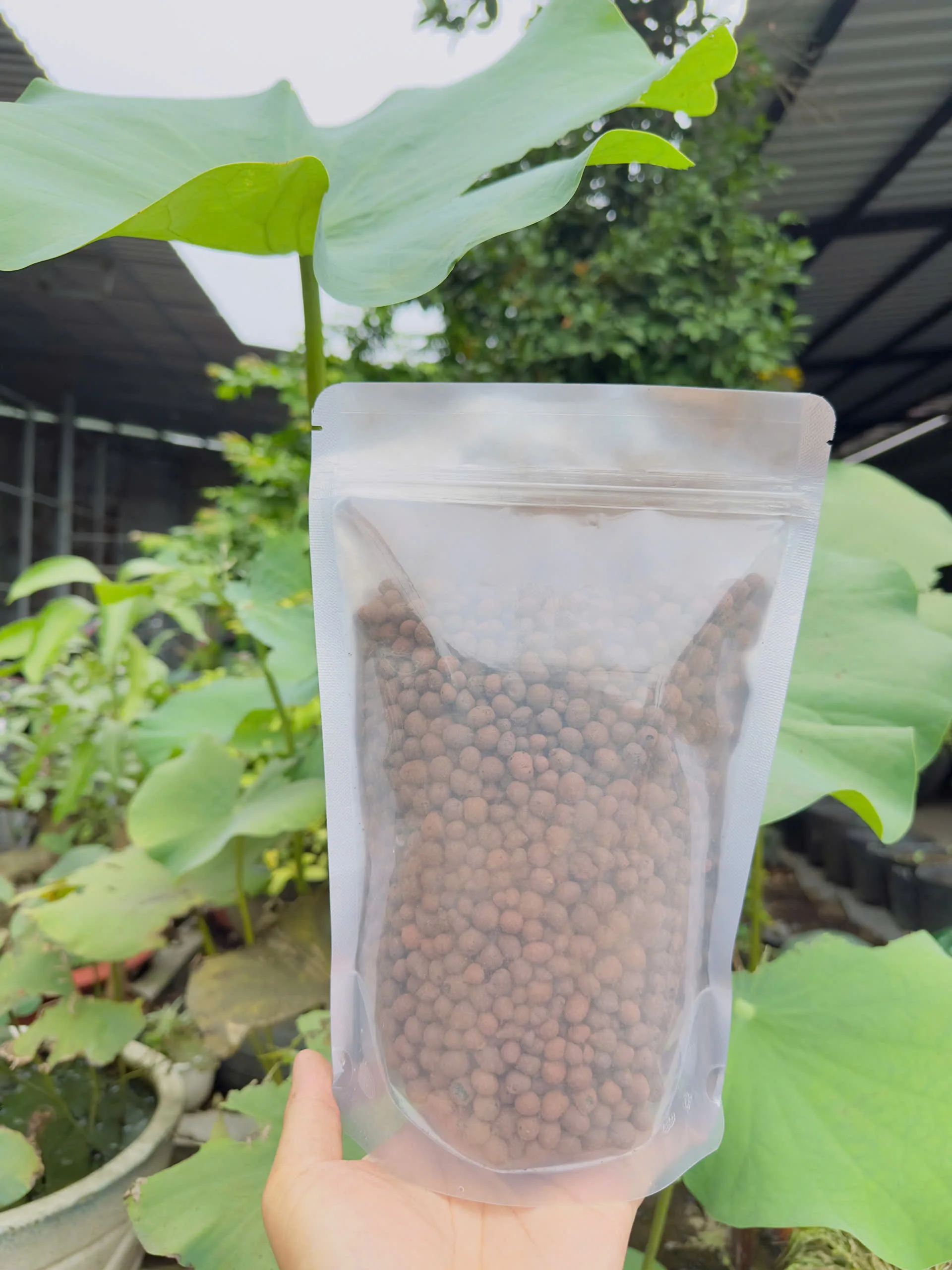 Hạt Đất Nung CLAYBALL - Ảnh 5